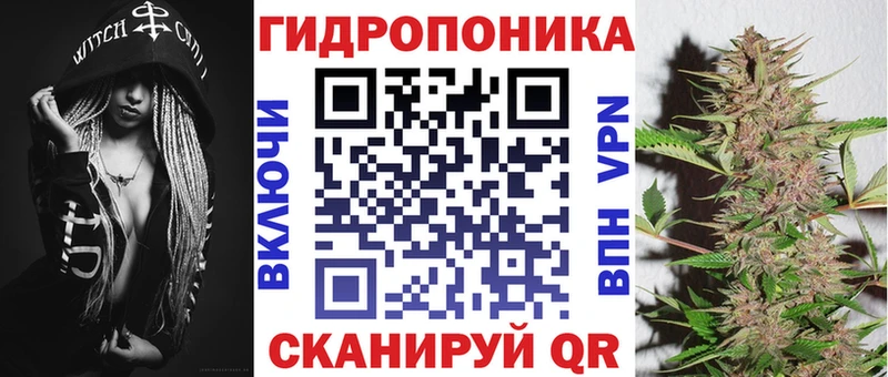 МЕГА ТОР  Хасавюрт  Марихуана ГИДРОПОН 